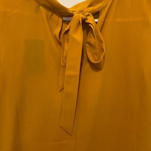 Eloquii size 24, satin sleeveless shirt with ruffles at the bottom